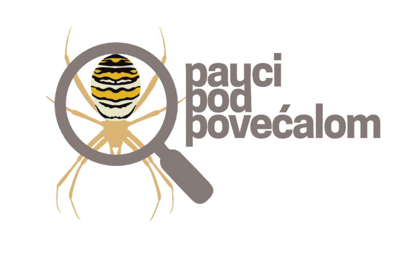 Pauci pod povećalom